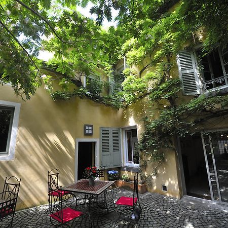 Chambres D'Hotes Le Petit Siam : Le Calme En Centre Ville 클레르몽페랑 외부 사진
